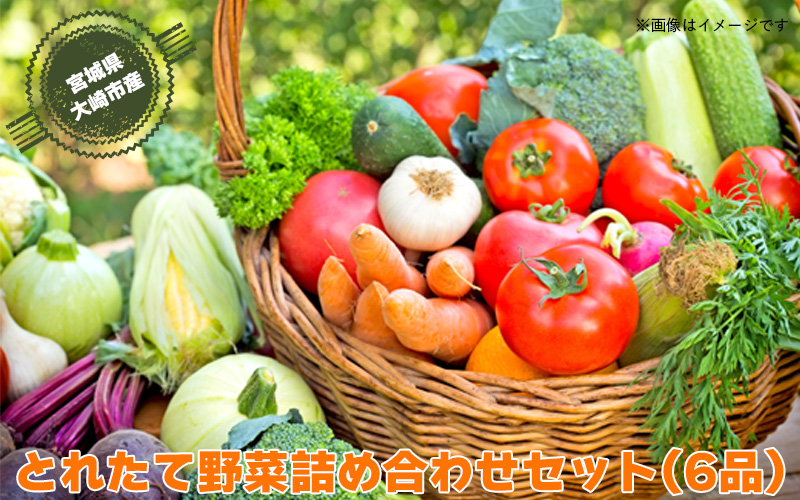 (09701)【宮城県産】とれたて野菜 詰め合わせセット(6品)