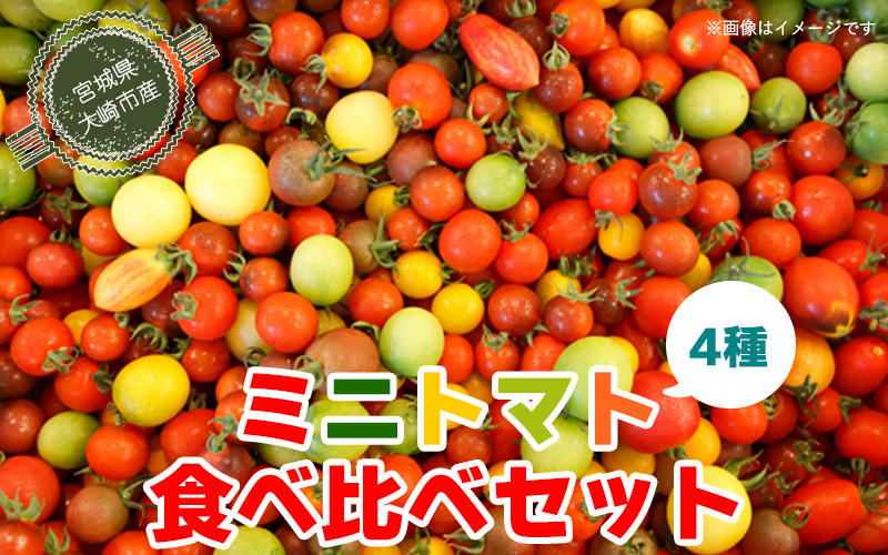 (09703)【宮城県産】ミニトマト4種食べ比べセット